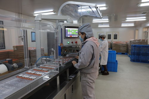 河北定興 科技特派團為企業(yè)發(fā)展添動能，加速技術推廣