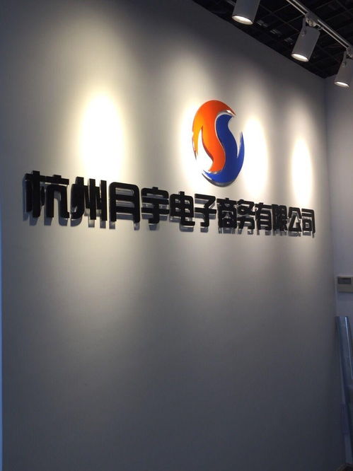 杭州月宇電子商務(wù)有限公司 電商浪潮中的創(chuàng)新實(shí)踐與未來發(fā)展